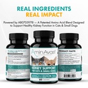 aminavast-kidney-support-for-cats-small--4.jpg