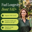nmn-supplement-1000mg-pure-organic-6-in--81jCtxq3E1L.jpg