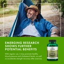 swanson-full-spectrum-ginger-root-540-mg-71QERTgd3SL.jpg
