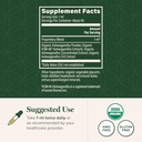 global-healing-center-ashwagandha-brain--4.jpg