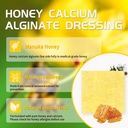manuka-honey-calcium-alginate-dressing-1-71CIBeuyslL.jpg