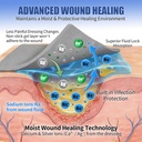10x-silver-calcium-alginate-wound-dressi-81BBkXmtluL.jpg