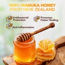 honey-calcium-alginate-wound-dressing-mo-81OLyDkoxcL.jpg