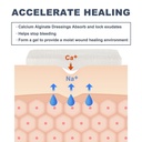 lotfancy-calcium-alginate-wound-dressing-71+CUiphwkL.jpg