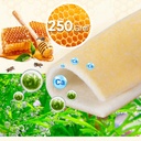 manuka-honey-calcium-alginate-wound-dres-81EKNU7RzdL.jpg