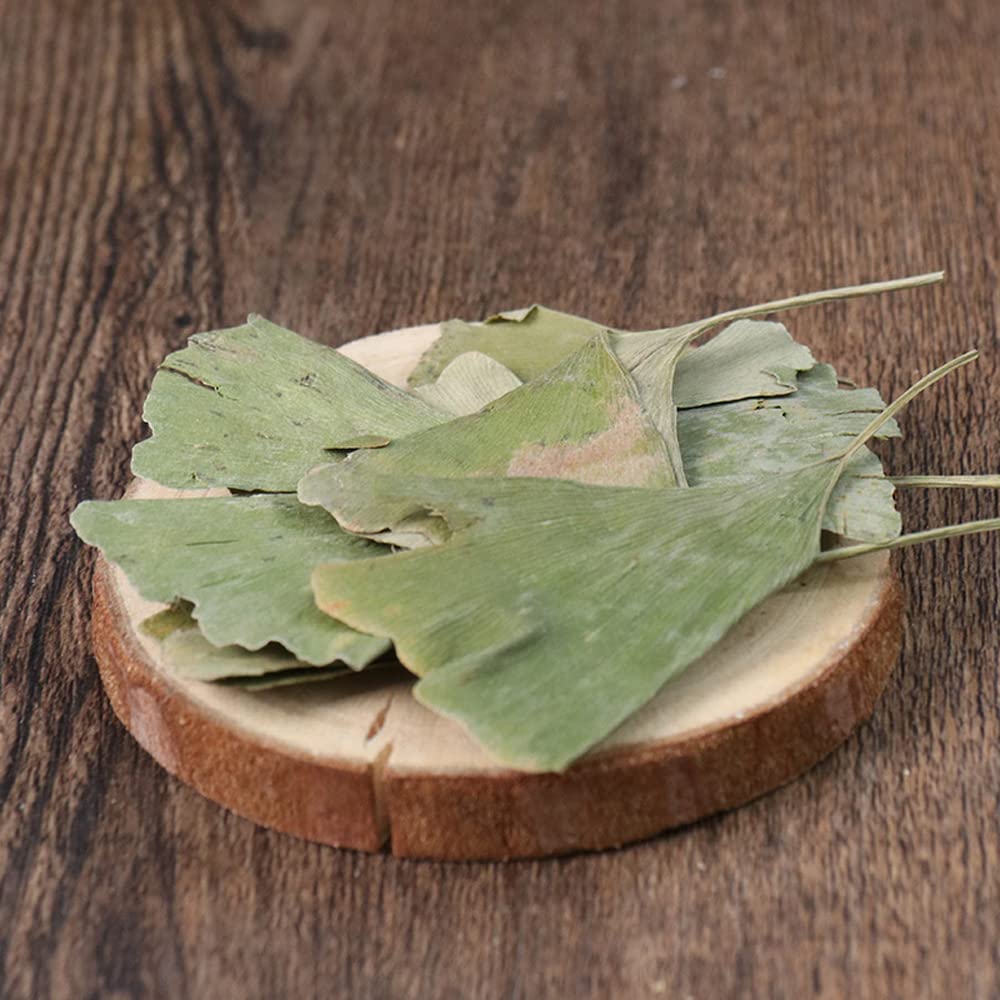 dried-ginkgo-biloba-leaves-ginkgo-biloba-61BOjK32ooL.jpg