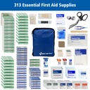 first-aid-only-313-piece-home-go-emergen-71caDA9JceL.jpg