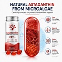 astaxanthin-supplements-24mg-astaxanthin-71lZkm3jKyL.jpg