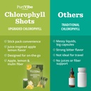 purivibe-chlorophyll-powder-drink-greens-71DKXvyw3WL.jpg