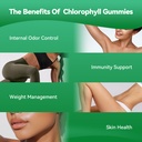 sugar-free-chlorophyll-gummies-400mg-60--61Ws3PrwskL.jpg