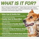 omega-3-fish-oil-for-dogs-and-cats-dog-c-2.jpg