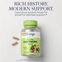 solaray-hawthorn-berry-capsules-1050-mg--71Xo+Wym21L.jpg