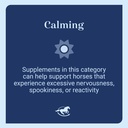 smartequine-smart-simple-magnesium-horse-612etFrRycL.jpg