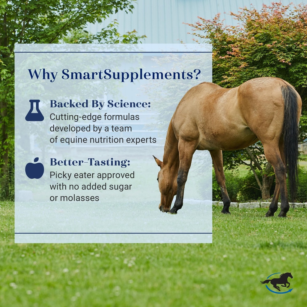 smartequine-smartlytes-3-7-lb-56-serving-81IwIrFeh5L.jpg