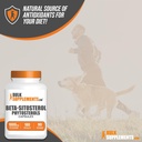 bulksupplementscom-phytosterols-capsules-4.jpg