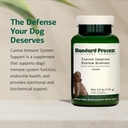 standard-process-canine-immune-system-su-71tD8PzEz1L.jpg