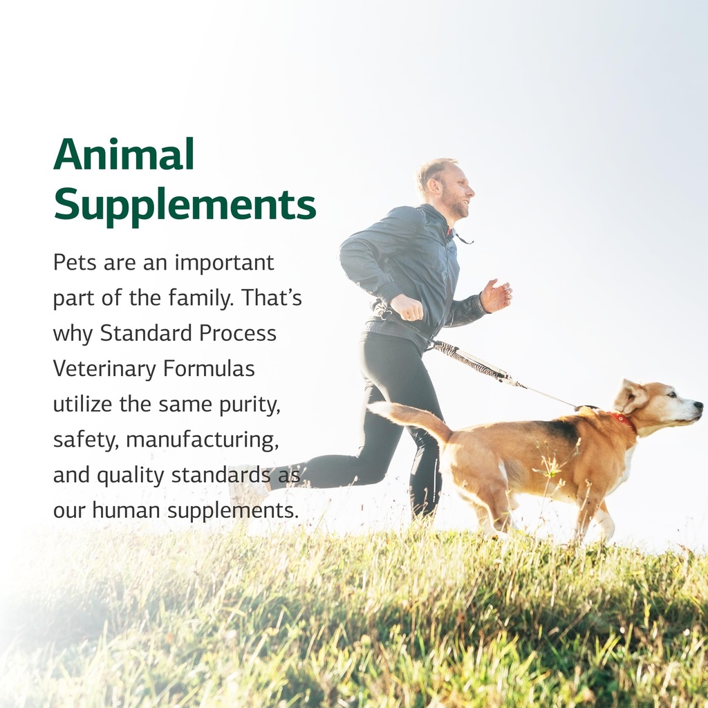 standard-process-vf-bio-dent-for-pets-90-81m4gwiBOnL.jpg