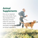 standard-process-vf-bio-dent-for-pets-90-81m4gwiBOnL.jpg