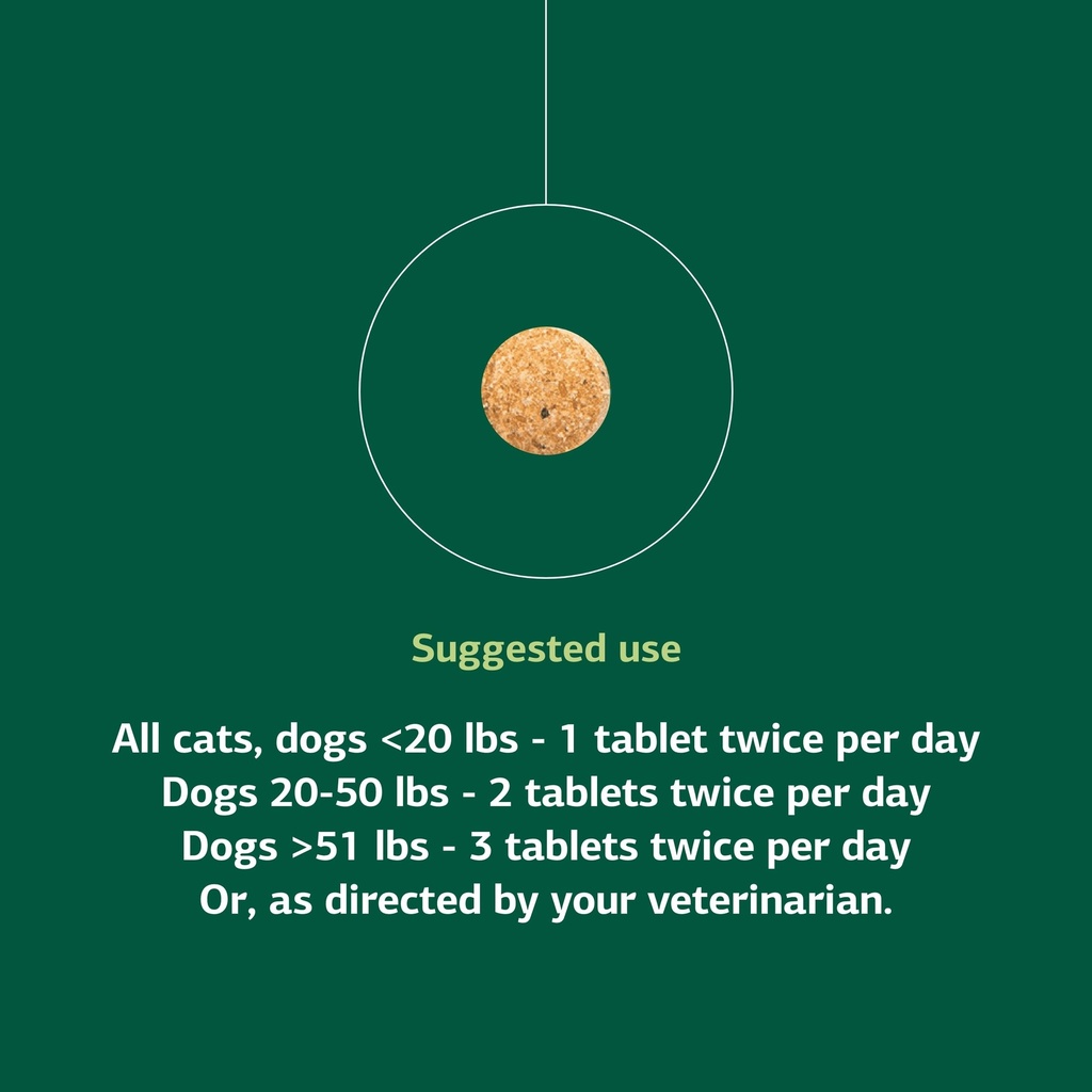 standard-process-vf-bio-dent-for-pets-90-71nbqjyxkRL.jpg