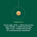 standard-process-vf-bio-dent-for-pets-90-71nbqjyxkRL.jpg