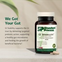 standard-process-gi-stability-gut-microb-61de1ZTybbL.jpg