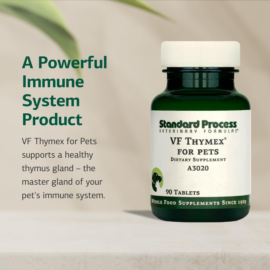 standard-process-vf-thymex-for-pets-90-t-61WXEQR0uaL.jpg