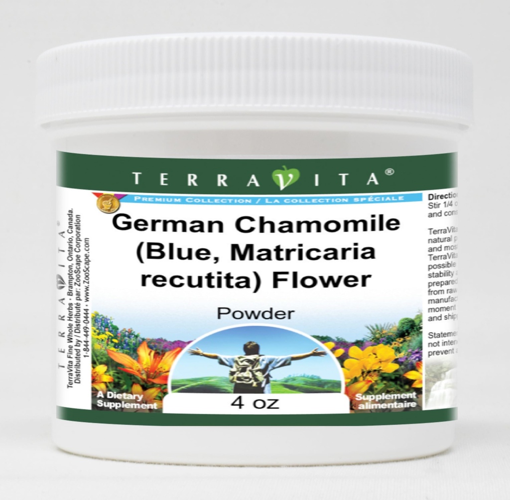 german-chamomile-blue-matricaria-recutit-71qYgbdicZL.jpg