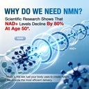 nmn-supplement-500mg-liposomal-nmn-capsu-7132W+FUMeL.jpg