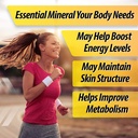 logenges-with-vitamin-c-and-zinc-support-91HhL0uZNuL.jpg