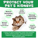 kidney-support-for-cats-cat-kidney-treat-710BU7iv3NL.jpg