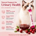 cat-urinary-kidney-support-lickable-trea-71BsOZ-dNvL.jpg