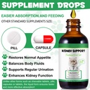 kidney-support-for-cats-cat-kidney-treat-711YOyqG8QL.jpg