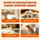 liquid-kidney-support-supplement-for-cat-81WuIhrVhSL.jpg