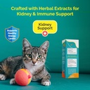 kidney-support-drops-cat-health-wellness-81LCeZhDYAL.jpg