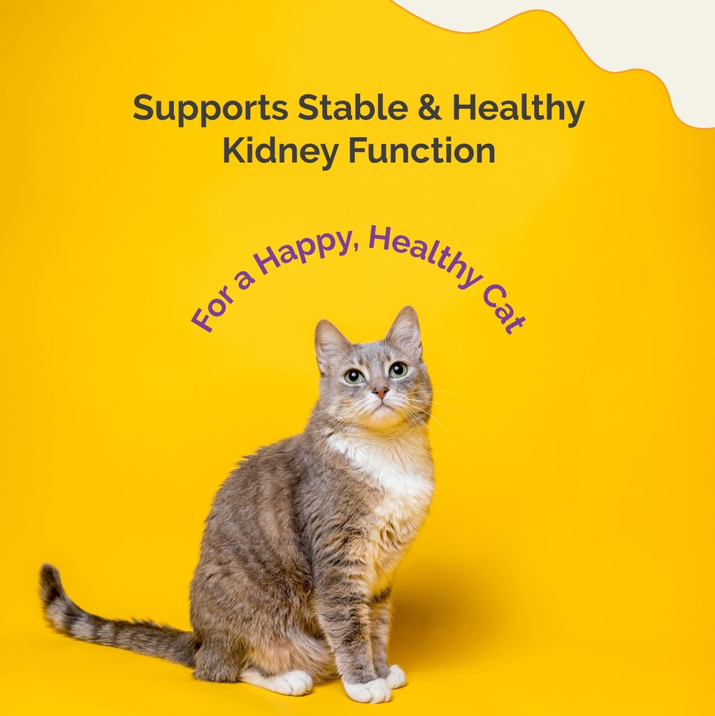 kidney-support-drops-cat-health-wellness-81iqbPQ-uWL.jpg