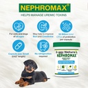nephromax-synbiotic-capsules-for-kidney--81HHmA5MVrL.jpg