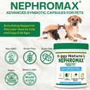 nephromax-synbiotic-capsules-for-kidney--81M-D8h5qiL.jpg