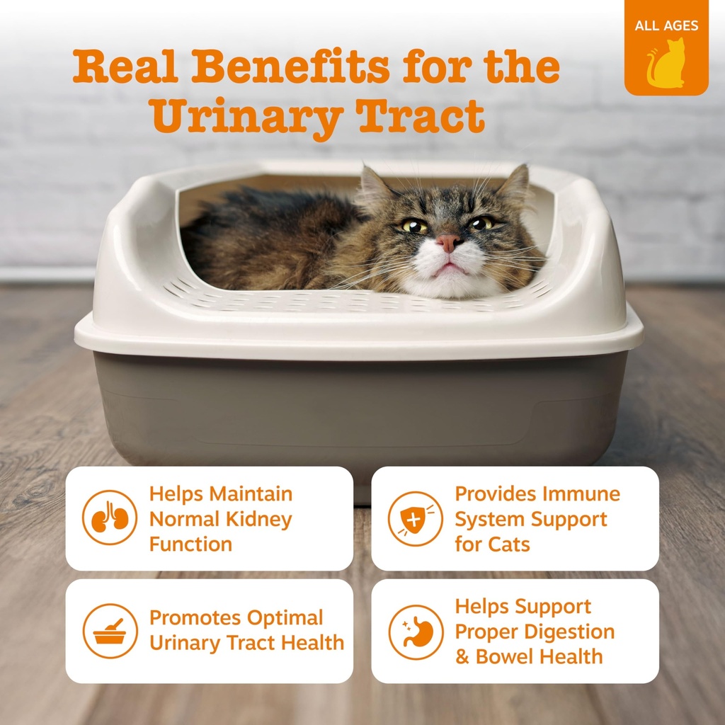 zesty-paws-cat-urinary-supplement-mousse-81KdPrERJVL.jpg