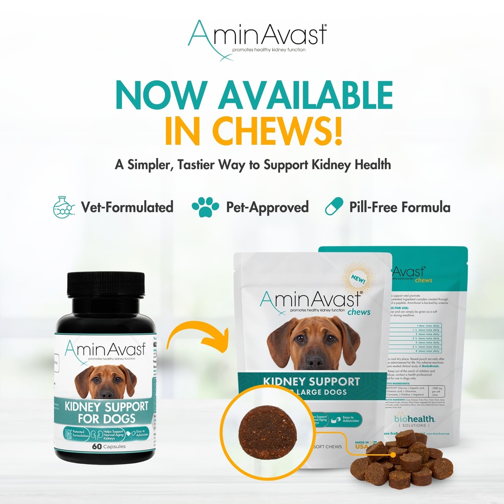 aminavast-kidney-support-for-dogs-over-2-81zK5RweGhL.jpg