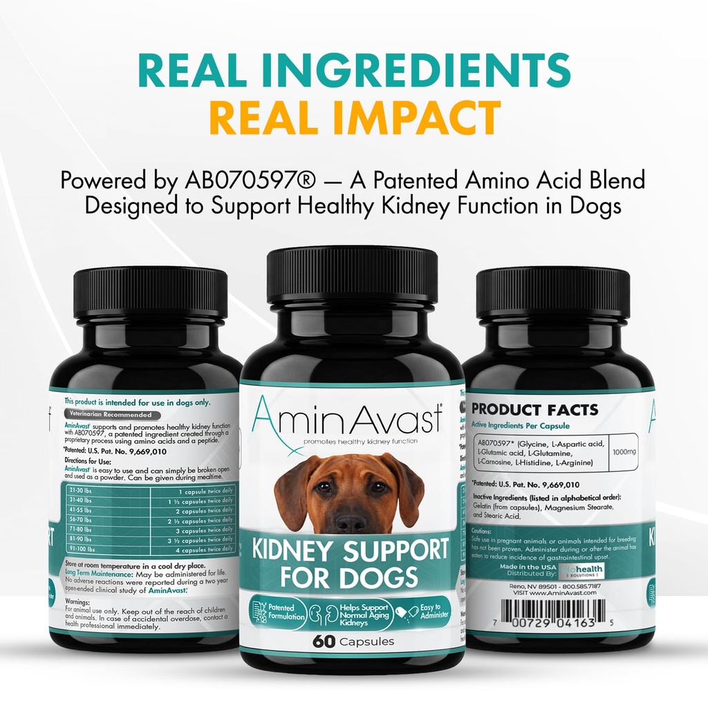 aminavast-kidney-support-for-dogs-over-2-71tadFXe+yL.jpg