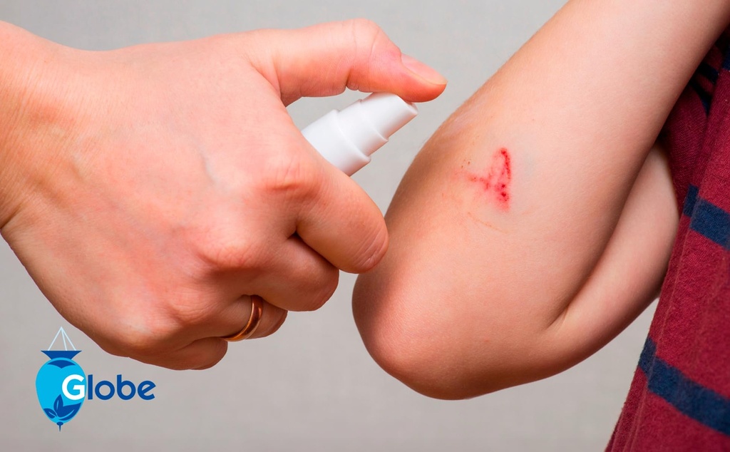 globe-antiseptic-spray-benzalkonium-chlo-718a0WohH2L.jpg