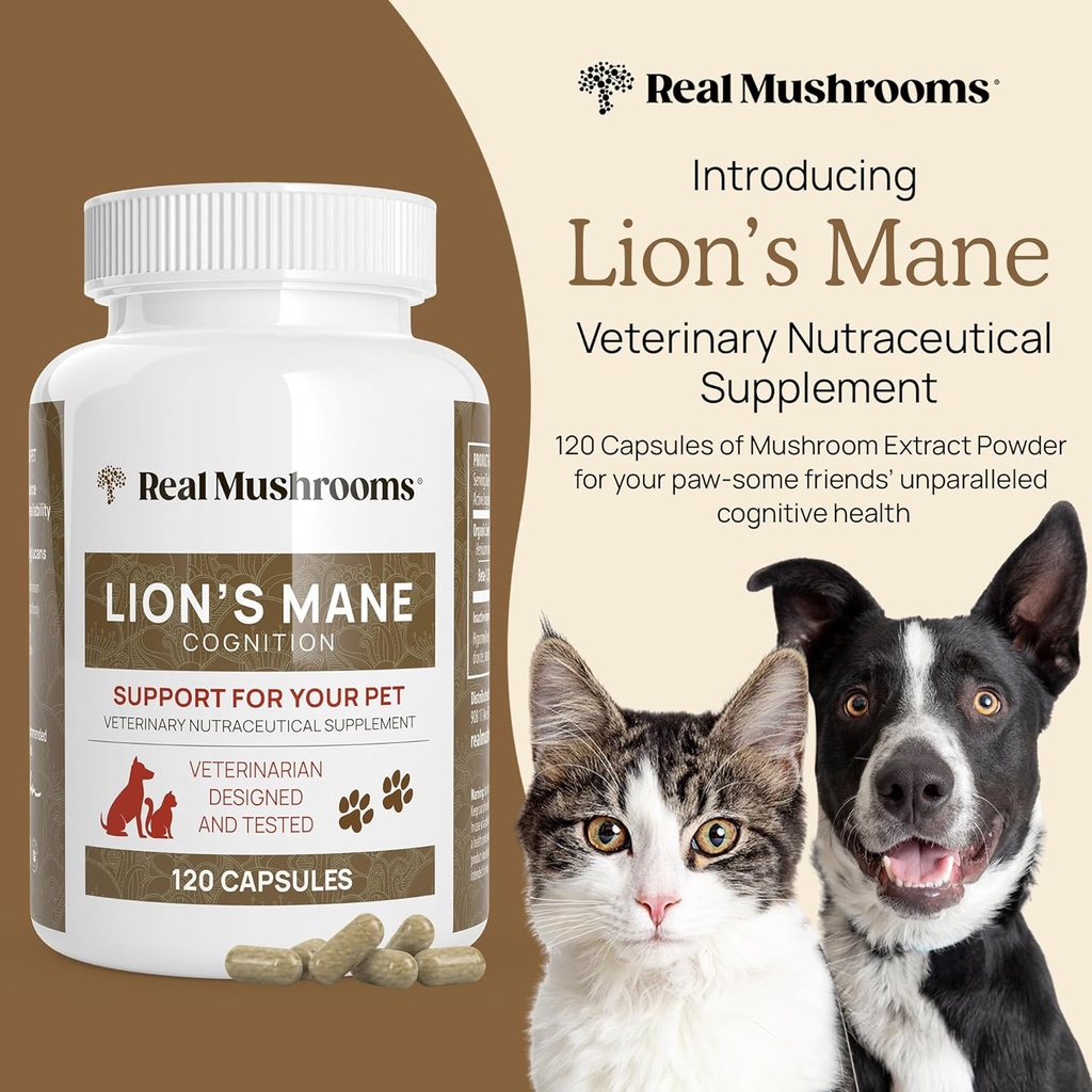 real-mushrooms-lions-mane-for-humans-120-6.jpg