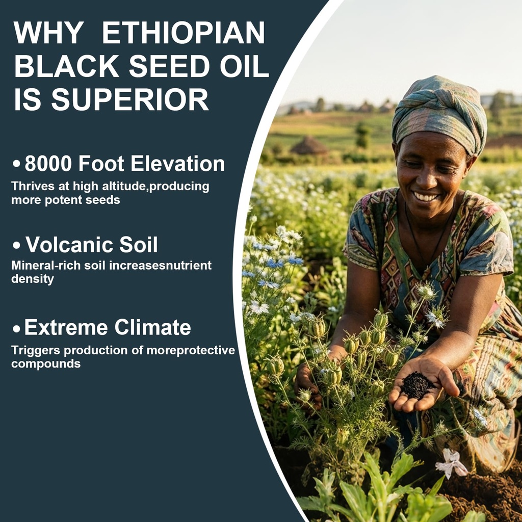 ethiopian-black-seed-oil-softgels-4-64-t-71jICHpicQL.jpg