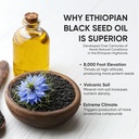 purely-ethiopian-black-seed-oil-capsules-71U5i35lXVL.jpg