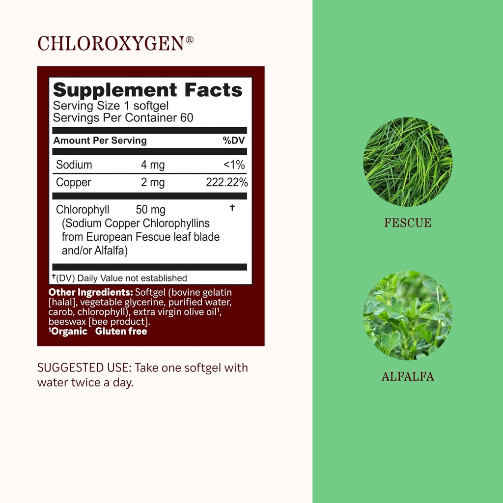 herbs-etc-chloroxygen-chlorophyll-concen-81Cb6aJUhpL.jpg