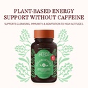 herbs-etc-chloroxygen-chlorophyll-concen-81mwzHiC3oL.jpg