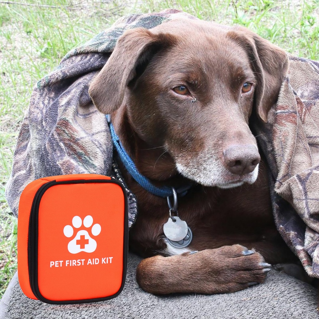 118-pcs-dog-cat-first-aid-kit-travel-pha-81nJTQbeTIL.jpg