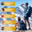 2-packs-pure-himalayan-shilajit-gummies--3.jpg