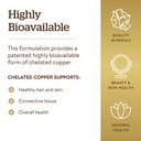 solgar-chelated-copper-100-tablets-essen-71IUk2G1qmL.jpg