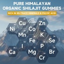 2-packs-pure-himalayan-shilajit-gummies--6.jpg